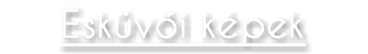 Esküvői képek