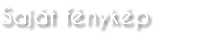 Saját fénykép
