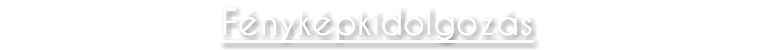 Fényképkidolgozás